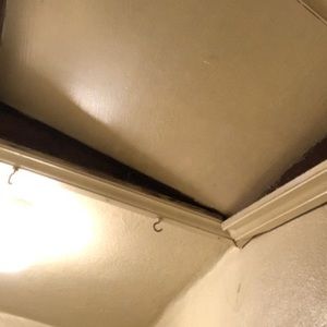 Meet your Posher, Shane